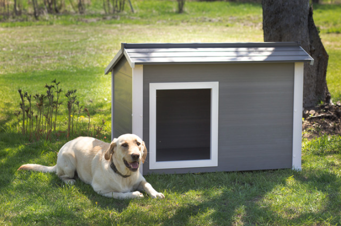 ecoflex-thermocore-dog-house