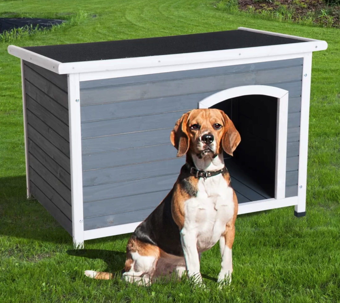 tucker-murphy-pet-fontinella-hinged-roof-outdoor-elevated-dog-house