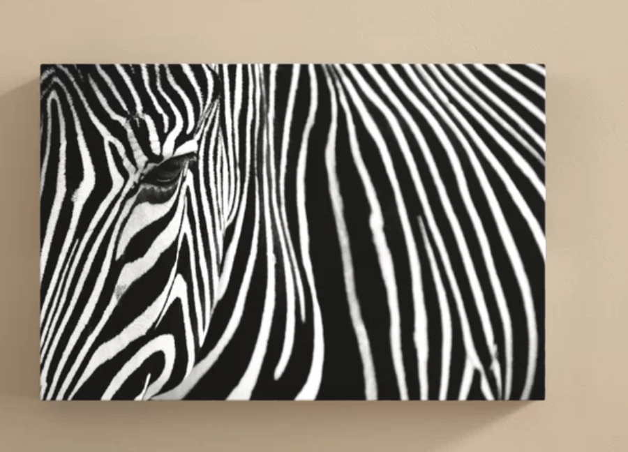 world-menagerie-zebra-in-lisbon-zoo-photographic-print